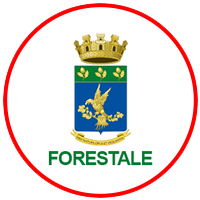 tammaro-logo-forestale