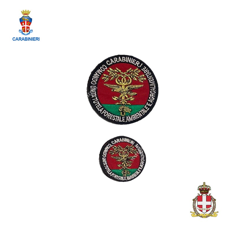 Patch Comando unità tutela forestale