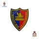 Patch 1° Brigata Mobile