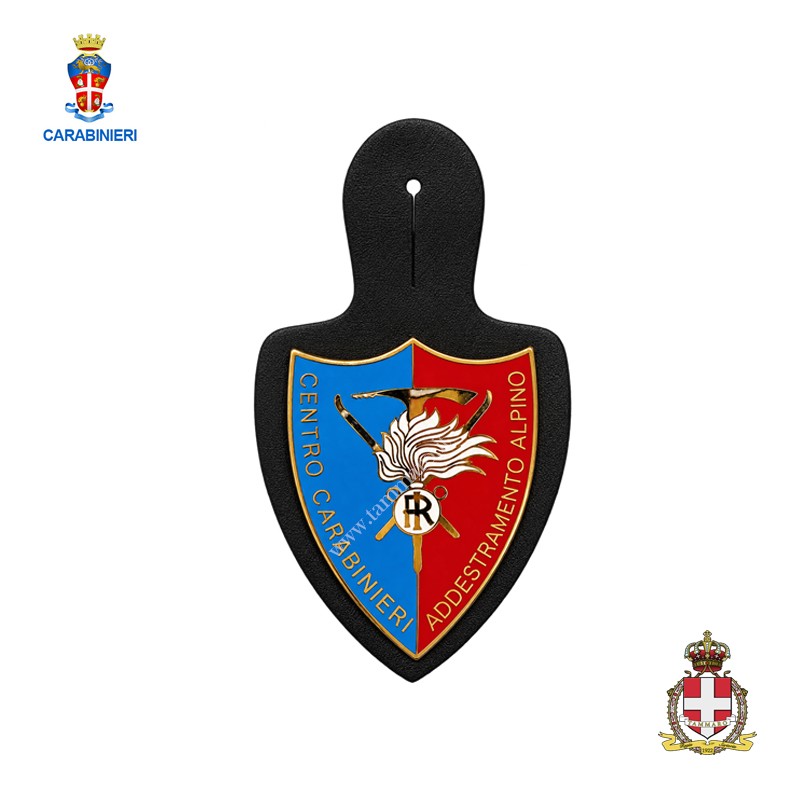 Pendif addestramento alpino