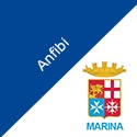 Anfibi