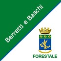 Berretti e Baschi