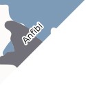 Anfibi