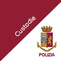 Custodie